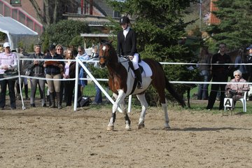 Bild 1039 - WBO-Turnier am 9.4.11